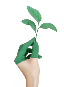BlaBlaTransport Spedizioni Green